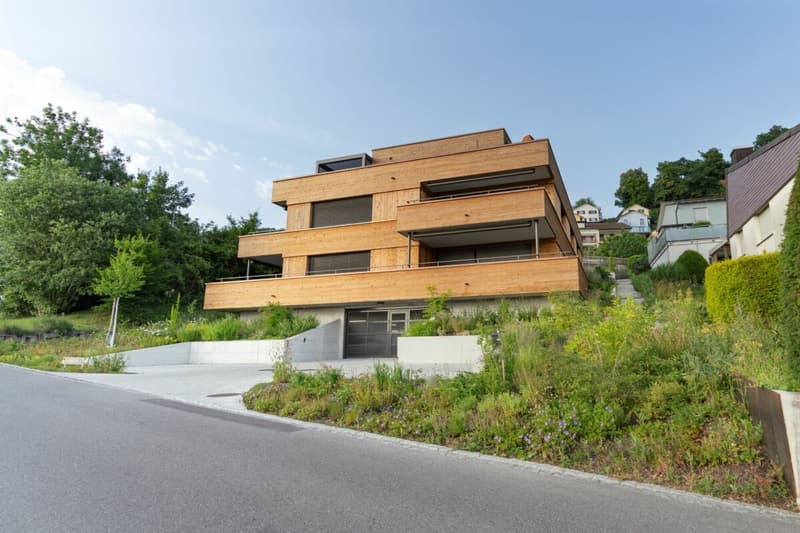 Newly built condominium with Minergie certificate (5)