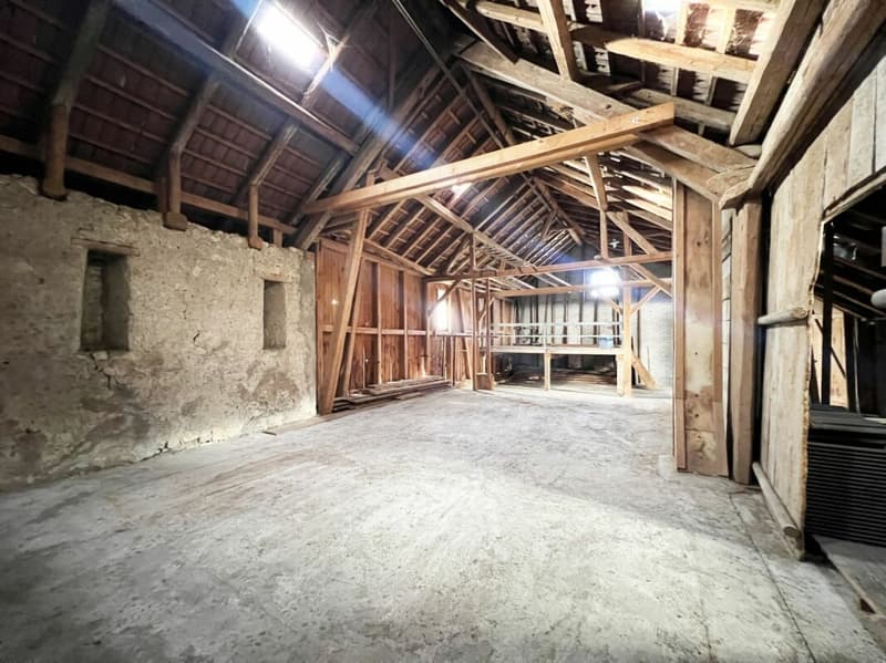 Ancienne ferme avec grange, hangar, grand terrain et grand potentiel (7)
