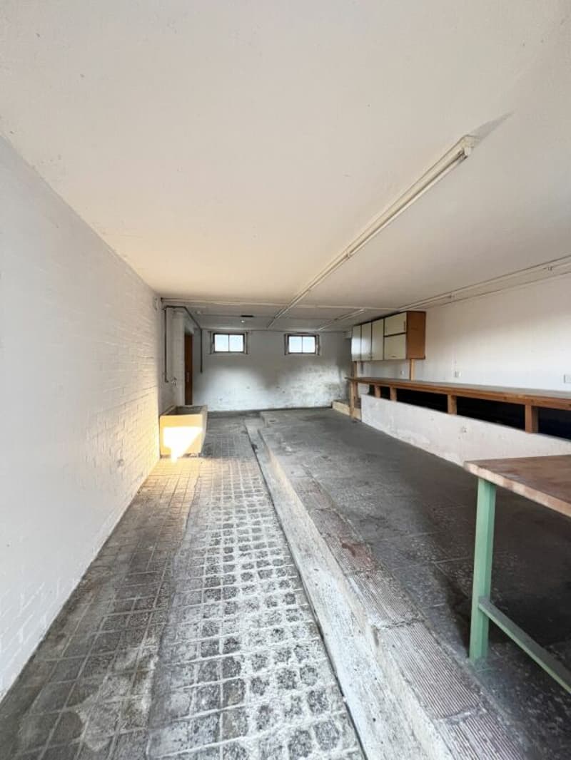 Ancienne ferme avec grange, hangar, grand terrain et grand potentiel (8)