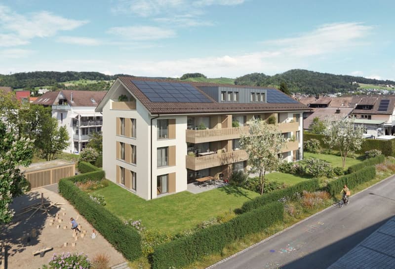 Moderne Neubauwohnungen in ruhigem Quartier (4)