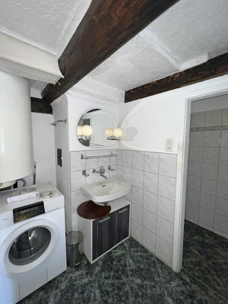 Tradition meets the future - Your multi-family house with potential (5)