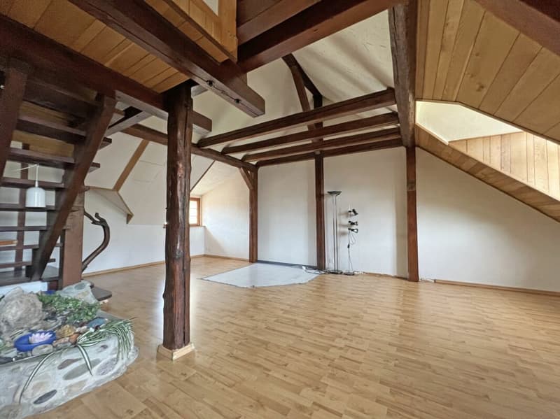 Tradition rencontre avenir - Votre maison multifamiliale avec potentiel (10)