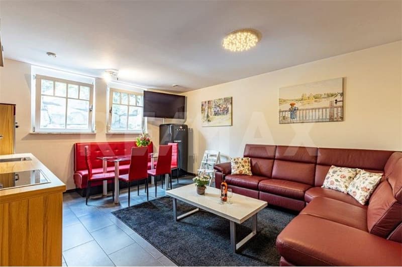 Beautiful house in Nordic style in a prime location in Rust near Europapark! (10)