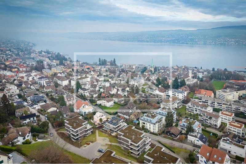 Einzigartiges 7-Zimmer-EFH mit hochwertigem Innenausbau in Horgen zu kaufen! (1)