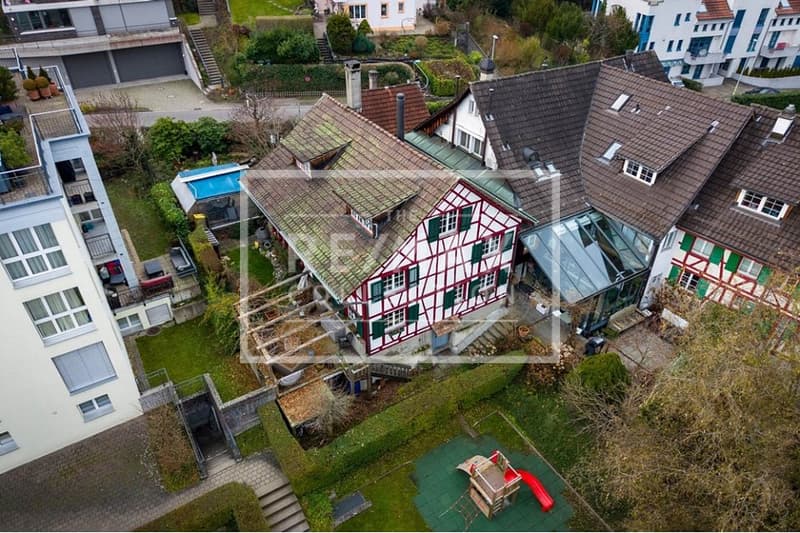 Wunderschönes 7-Zimmer-EFH mit hochwertigem Innenausbau in Horgen zu kaufen! (3)
