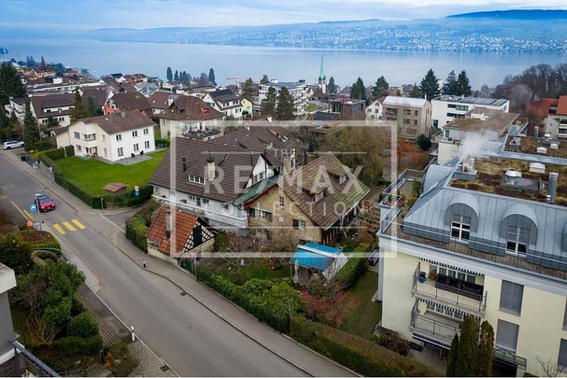 Wunderschönes 7-Zimmer-EFH mit hochwertigem Innenausbau in Horgen zu kaufen! (9)