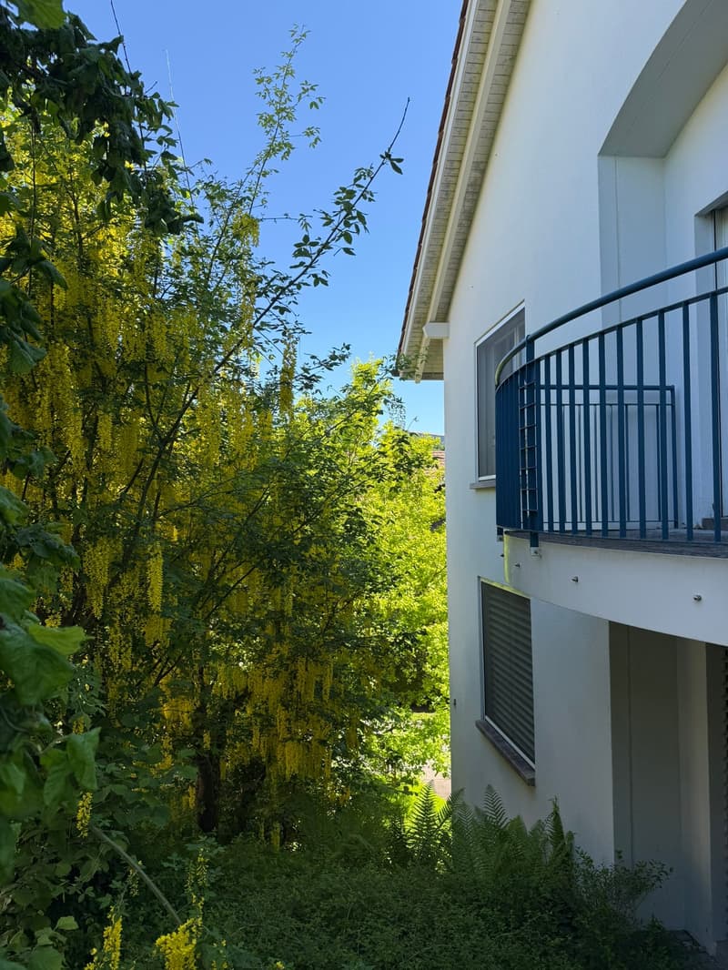 Spacieuse maison unifamiliale de 8 pièces dans un quartier calme à Edlibach/Menzingen (10)