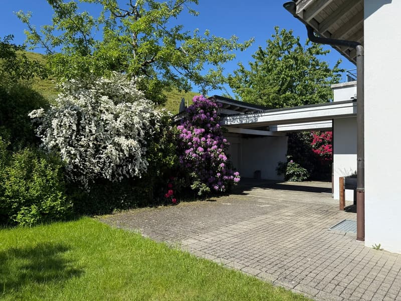 Spacieuse maison unifamiliale de 8 pièces dans un quartier calme à Edlibach/Menzingen (7)