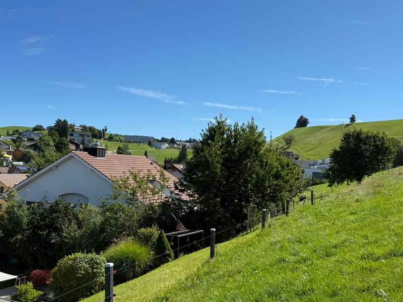 Spacieuse maison unifamiliale de 8 pièces dans un quartier calme à Edlibach/Menzingen (2)