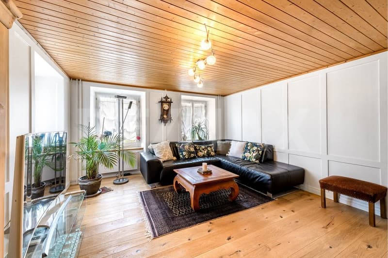 Well-maintained residential house with spacious terrace (2)
