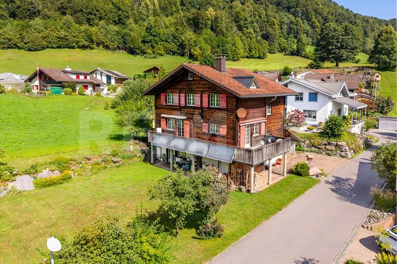 6½-Zimmer-Einfamilienhaus mit grosszügigem Grundstück (1)