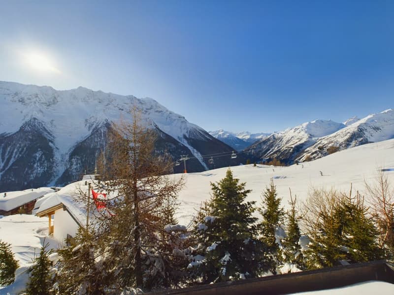 Chalet Alpine Crown - Lauchernalp (24)