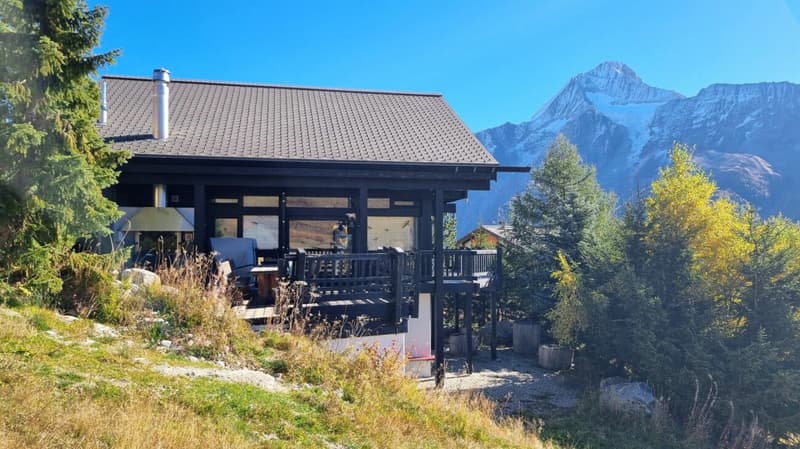 Chalet Alpine Crown - Lauchernalp (26)