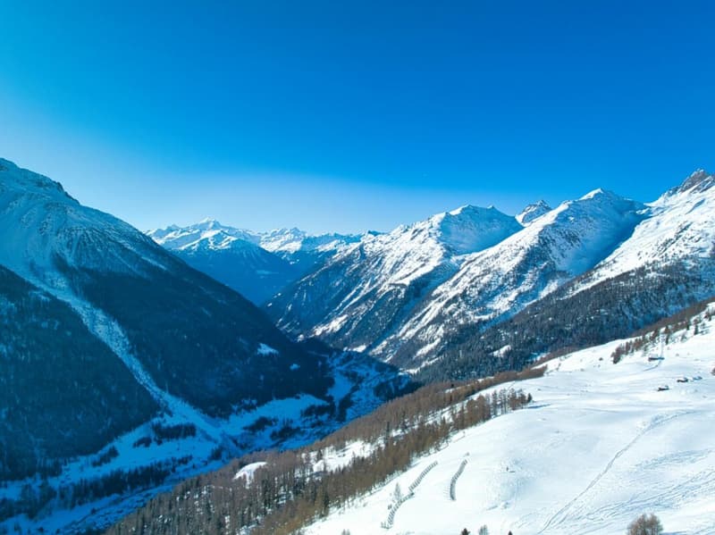 Chalet Alpine Crown - Lauchernalp (22)