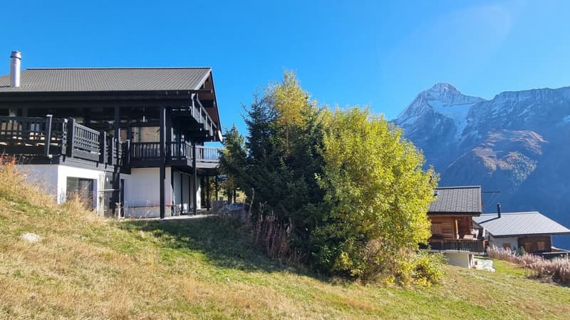 Chalet Alpine Crown - Lauchernalp (25)