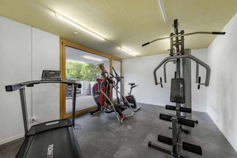 Vivre au bord du lac 4,5 pièces appartement avec jardin à Iseltwald (18)