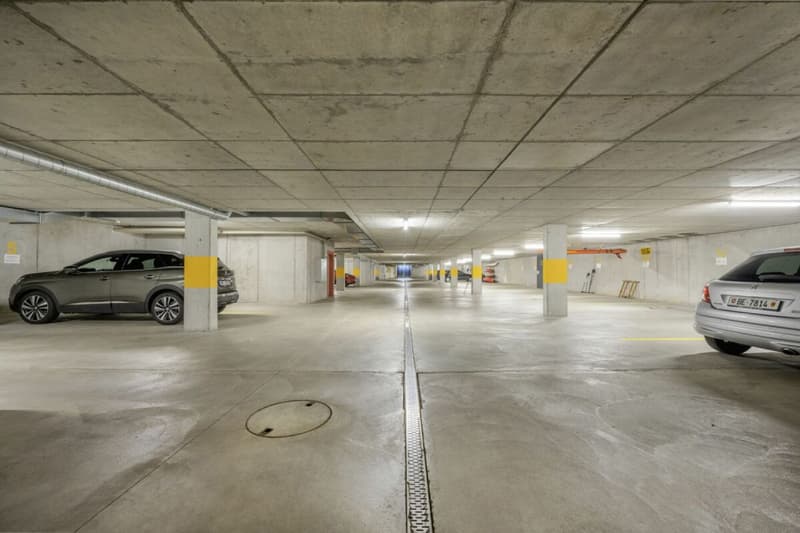 Vivre au bord du lac 4,5 pièces appartement avec jardin à Iseltwald (15)