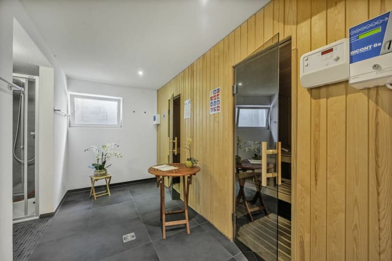 Vivre au bord du lac 4,5 pièces appartement avec jardin à Iseltwald (17)