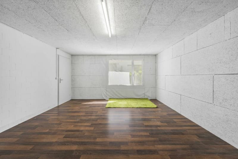 BAAR LIVING Spacious 4.5-room terrace apartment in a tranquil area (18)