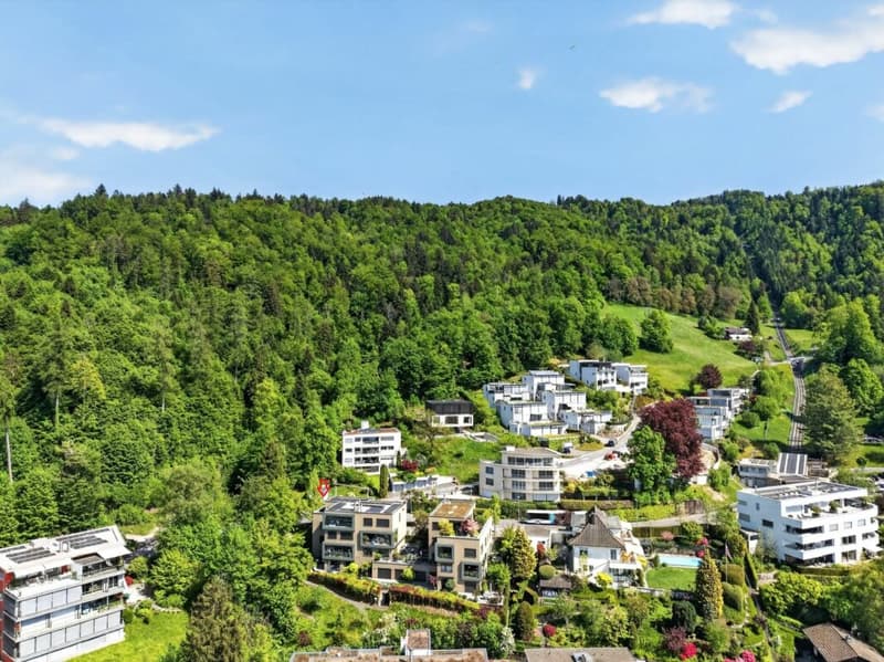 Elevated Living - Zug (21)