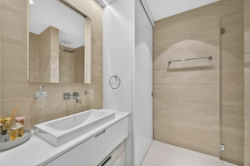 Habitat Élevé - Zug (12)