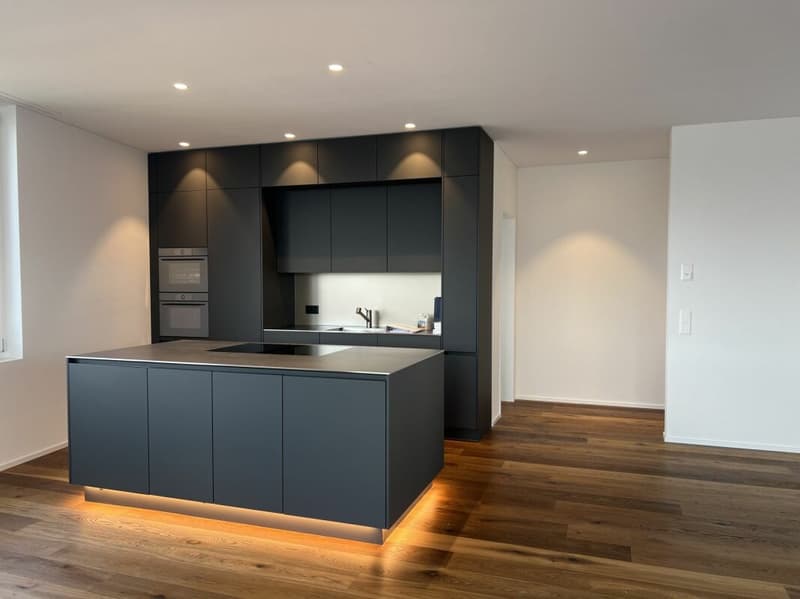 The Residence - 3.5-Zimmer-Penthouse in Steinhausen (4)