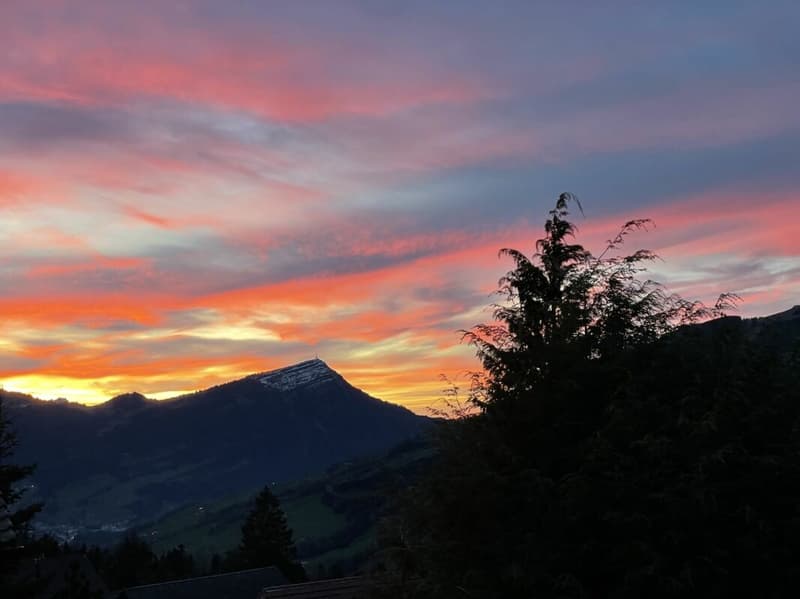 Neuwertiges Einfamilenhaus mit Voralpen-Panorama, 30 Min. nach Zug (22)