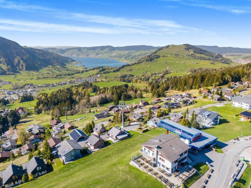 Neuwertiges Einfamilenhaus mit Voralpen-Panorama, 30 Min. nach Zug (19)