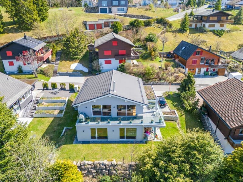 Neuwertiges Einfamilenhaus mit Voralpen-Panorama, 30 Min. nach Zug (2)