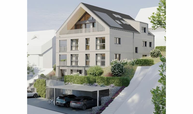 Au-dessus des toits de Wolfhausen (9)