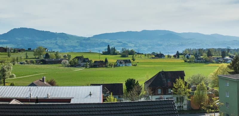 Au-dessus des toits de Wolfhausen (10)