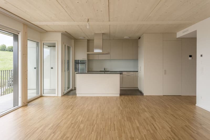 4.5-Zimmer-Wohnung mit fantastischer Aussicht (A3) (5)