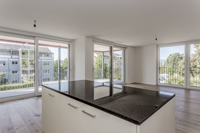 4.5 Zimmer Wohnung (O4) (8)