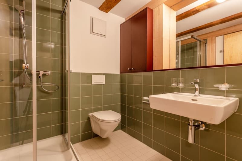 2.5 Zimmerwohnung mit Seezugang (10)