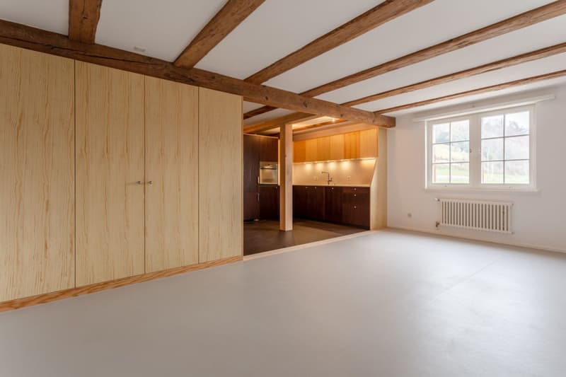 2.5 Zimmerwohnung mit Seezugang (6)