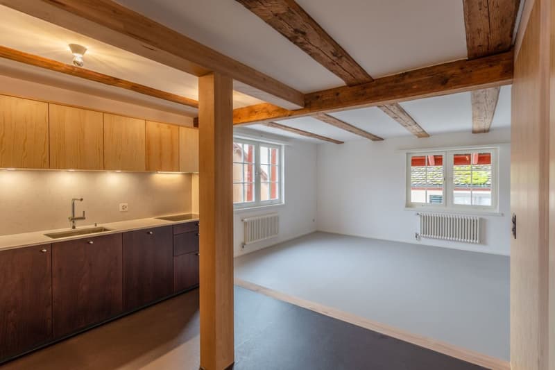2.5 Zimmerwohnung mit Seezugang (7)