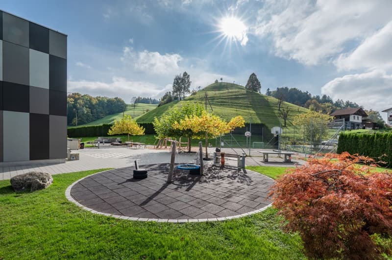 playground, green lawn, trees, large hill, houses in the background