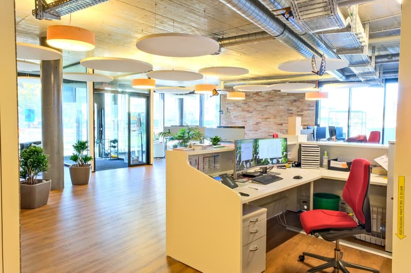 office room, wooden floor, two monitors, keyboard, mouse, desk, chair, plants, round ceiling lights