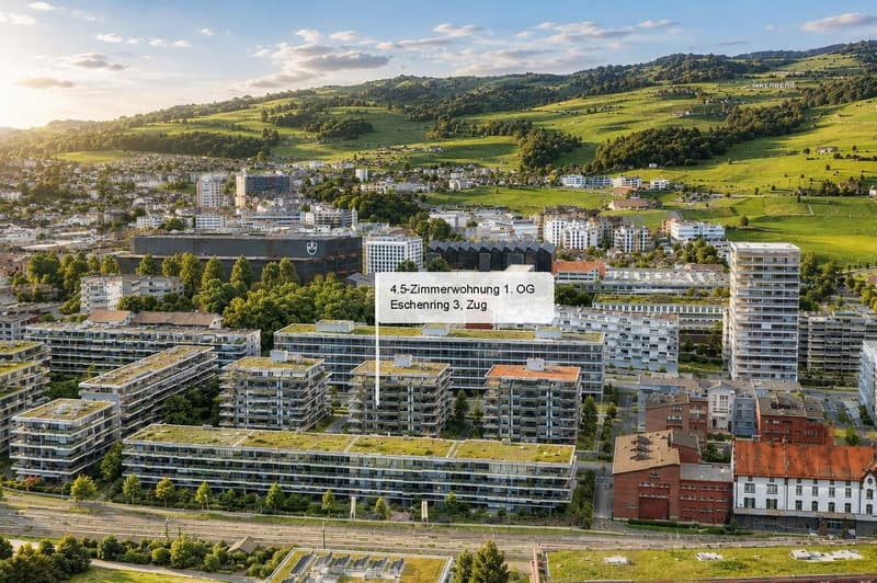 Stilvolle Stadtwohnung an begehrter Lage in Zug (1)