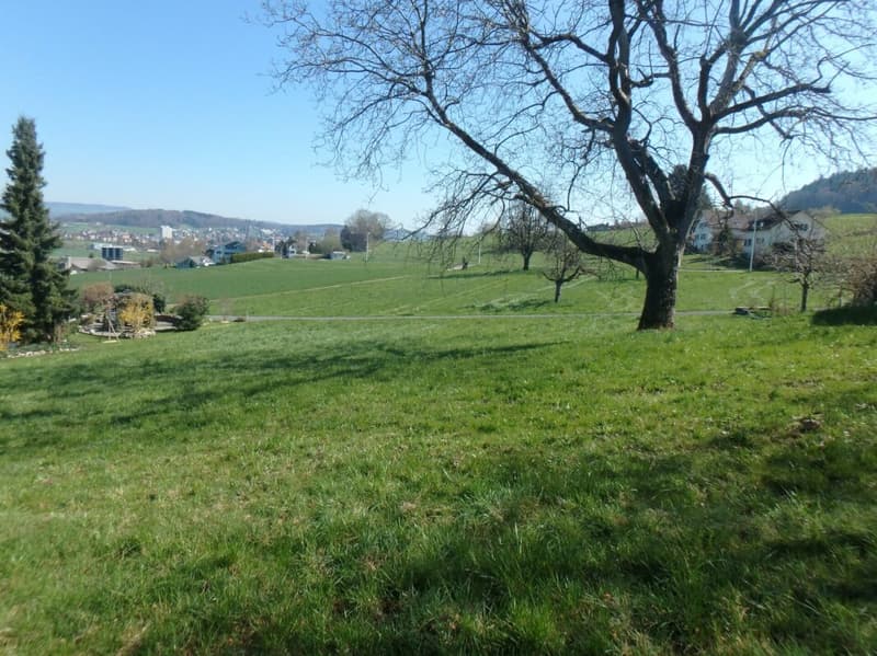 Terreno con vista panoramica (5)