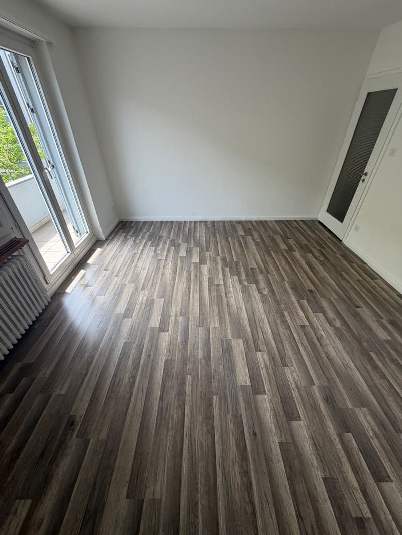 Appartement de 2,5 pièces fraîchement rénové dans un excellent emplacement à Biel (4)