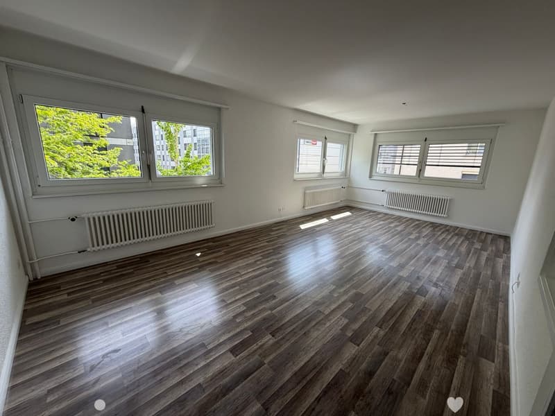 Frisch renovierte 2.5 Zimmer Wohnung an Top Lage in Biel (1)