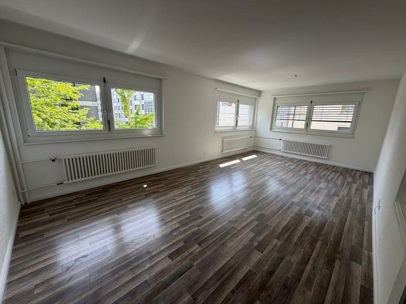 Appartement de 2,5 pièces fraîchement rénové dans un excellent emplacement à Biel (1)