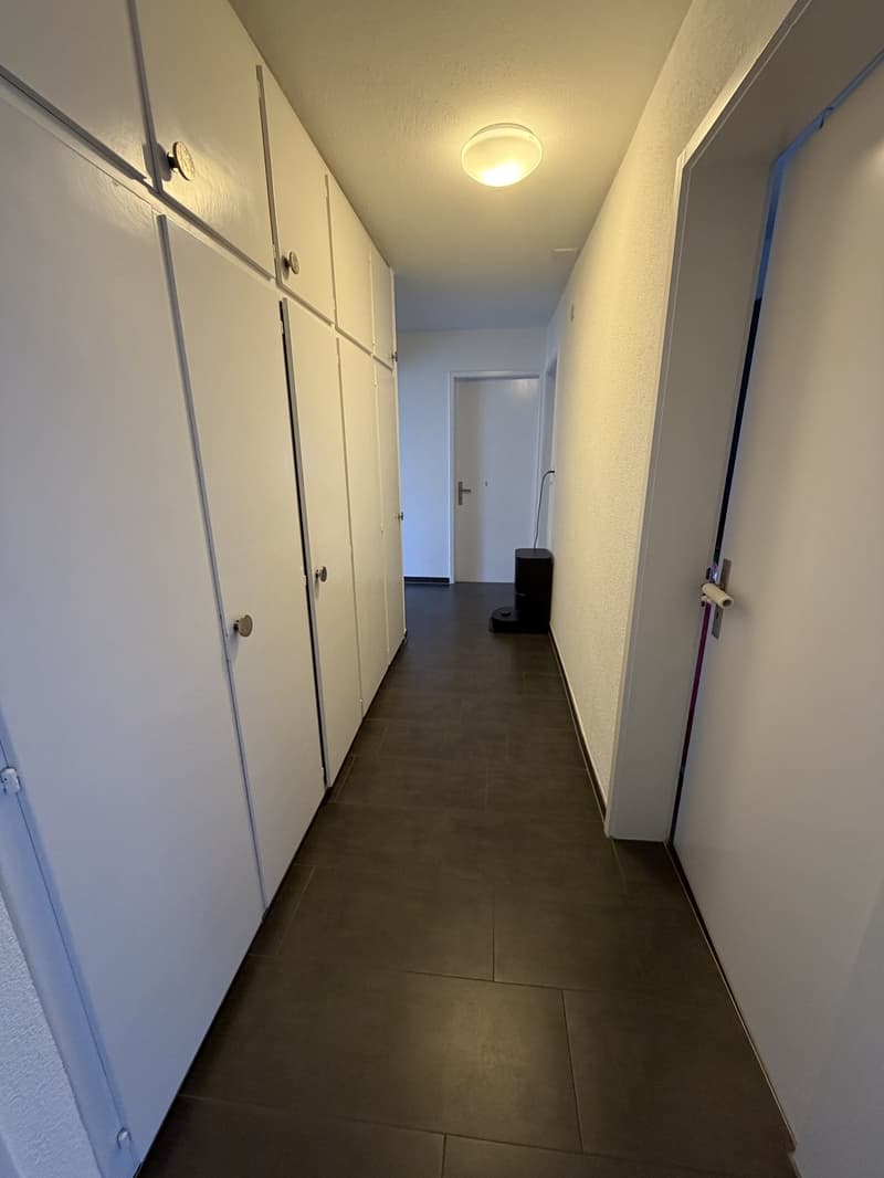 Bel appartement 4 pièces à louer à Wattwil (6)