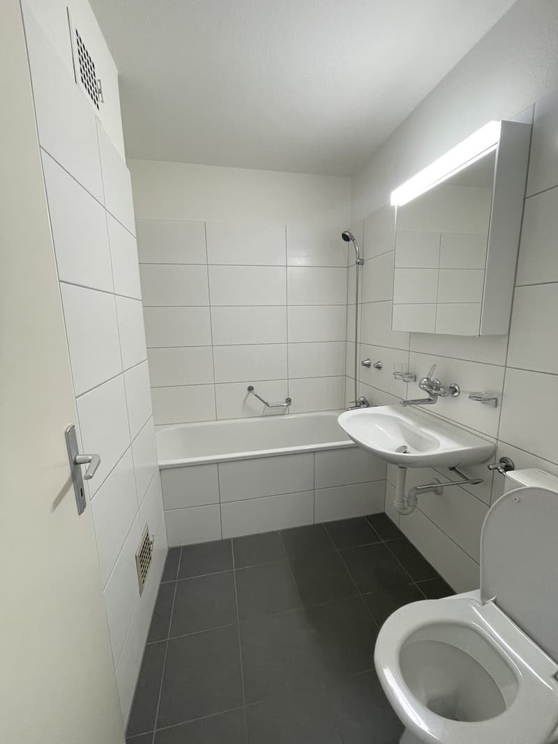 Appartamento di 2 camere accogliente con ampio balcone a Lyss (5)