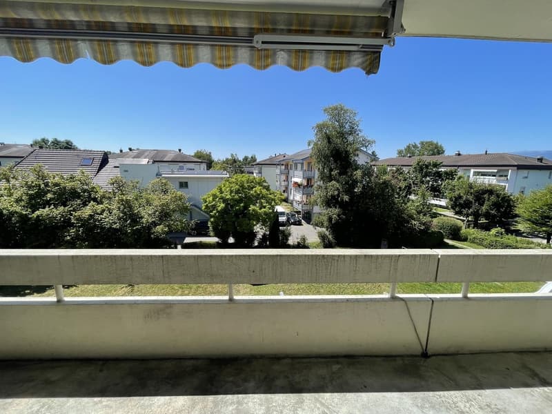 Appartamento di 2 camere accogliente con ampio balcone a Lyss (1)