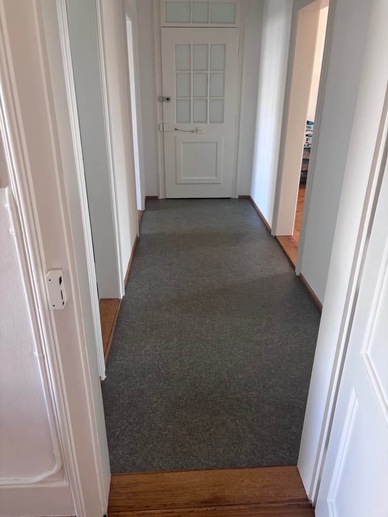 Bello appartamento di 3 camere in affitto in una posizione molto centrale! (4)