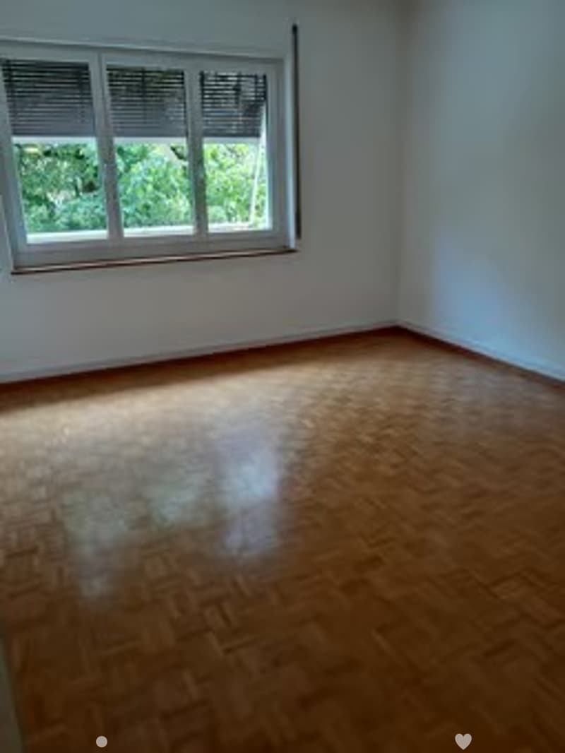 Helle und gemütliche 2.5-Zimmerwohnung an zentraler Lage (3)