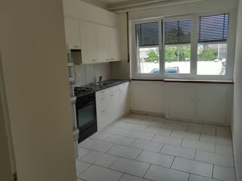 Appartement lumineux et confortable de 2,5 pièces dans un emplacement central (1)