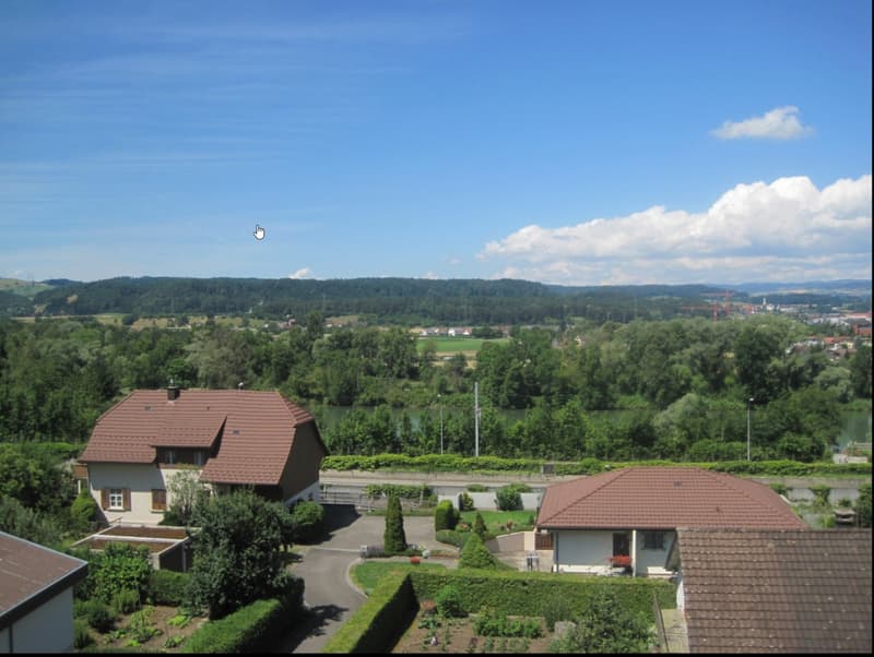 Bright 3-room apartment with balcony and stunning views in Döttingen (1)
